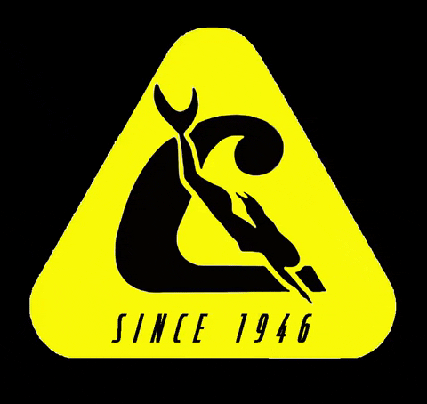 Cressi GIF by cressiespaña