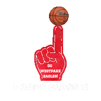 Hoops Classic Sticker by WestparkPTA
