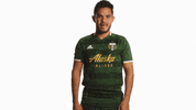 Waving Portland Timbers GIF by Timbers