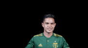 major league soccer GIF by Timbers