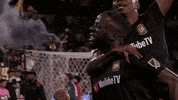 Los Angeles Fc Football GIF by LAFC