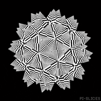 Black And White Loop GIF by Pi-Slices
