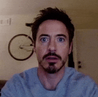 Stare Image GIF