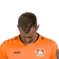 Bayer 04 Hello Sticker by Bundesliga