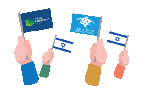 ben gurion flag Sticker by Israelexperience