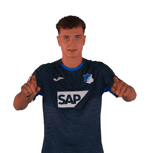 Sport Bundesliga Sticker by TSG Hoffenheim