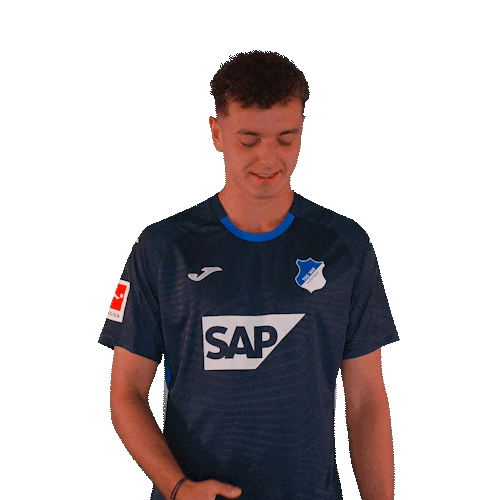 Sport Logo Sticker by TSG Hoffenheim