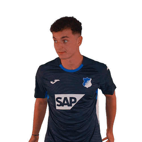 Sport Bundesliga Sticker by TSG Hoffenheim