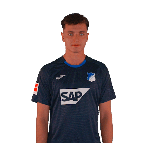 Sport Bundesliga Sticker by TSG Hoffenheim