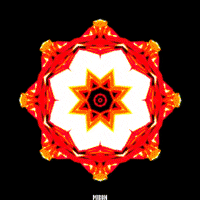 Loop Kaleidoscope GIF by Miron