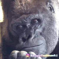 Gorilla Düşünmek GIF