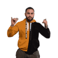 P4L Sticker by Emile Machado