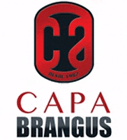 capabrangus capabrangus GIF