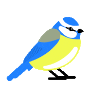 Bluebird Sticker by National Trust