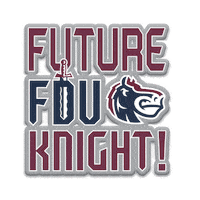 Basketball Knights Sticker by Fairleigh Dickinson University