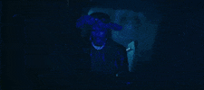 Aj Tracey Trap GIF by Island Records UK