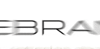Rebrand-Interior-design  GIF