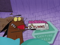 nickrewind nicksplat angry beavers GIF