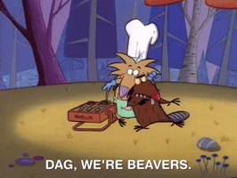 nickrewind nicksplat angry beavers GIF