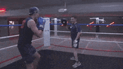 ver formula 1 GIF by Red Bull Racing
