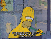 Season 2 Episode 13 GIF by The Simpsons