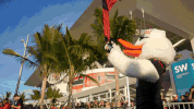 college football GIF by Miami Hurricanes
