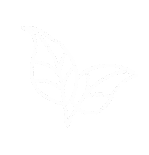 Sun Leaf Sticker by Levate