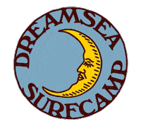 Surf Camping Sticker by Dreamseasurf