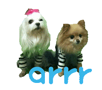 아르르 Sticker by arrr_official