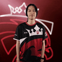 Mind Win GIF by Austrian Force eSports