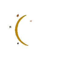 Star Sun Sticker by Julia Dreams