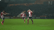 Ecfc GIF by Exeter City Football Club