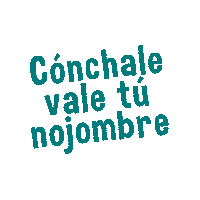 Burdaerata burdaerata conchale conchale vale Sticker