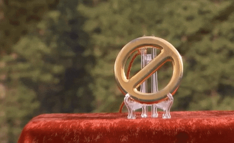 veto GIF by Big Brother