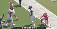 Regular Season Football GIF by NFL