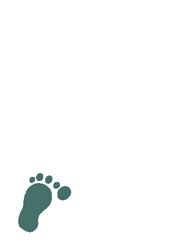 Pieds Sticker by Petits pas de Géant-PPDG