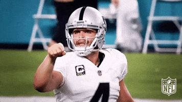 Oakland Raiders Football GIF by NFL