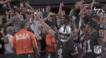 Las Vegas Raiders Football GIF by NFL