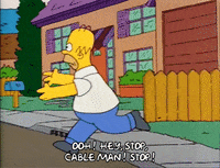 Season 2 Episode 13 GIF by The Simpsons
