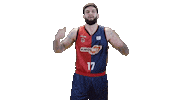 liga endesa basketball Sticker by ACB