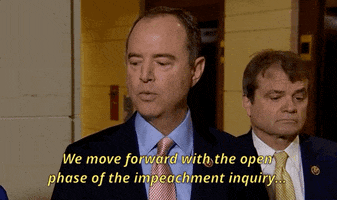 impeachment adam schiff open phase GIF