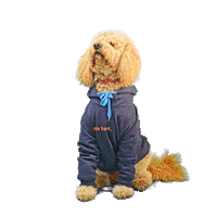 PetsBest dog puppy pet doodle Sticker