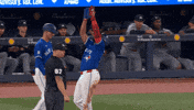Blue Jays Applause GIF by Toronto Blue Jays
