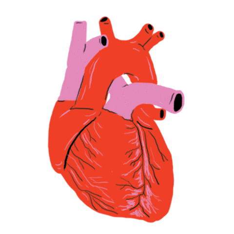 Heart Love Sticker