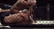 10P 10Thplanet GIF by The Hive MMA