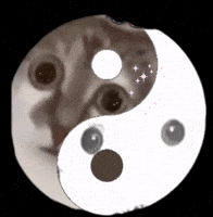 Ying Yang Cat GIF
