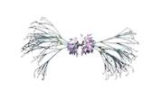 Sticker by Dazed