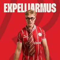 Harry Potter Football GIF by Bristol City FC
