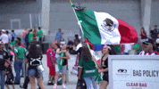 liga mx football GIF by MiSelecciónMX