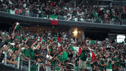 liga mx football GIF by MiSelecciónMX